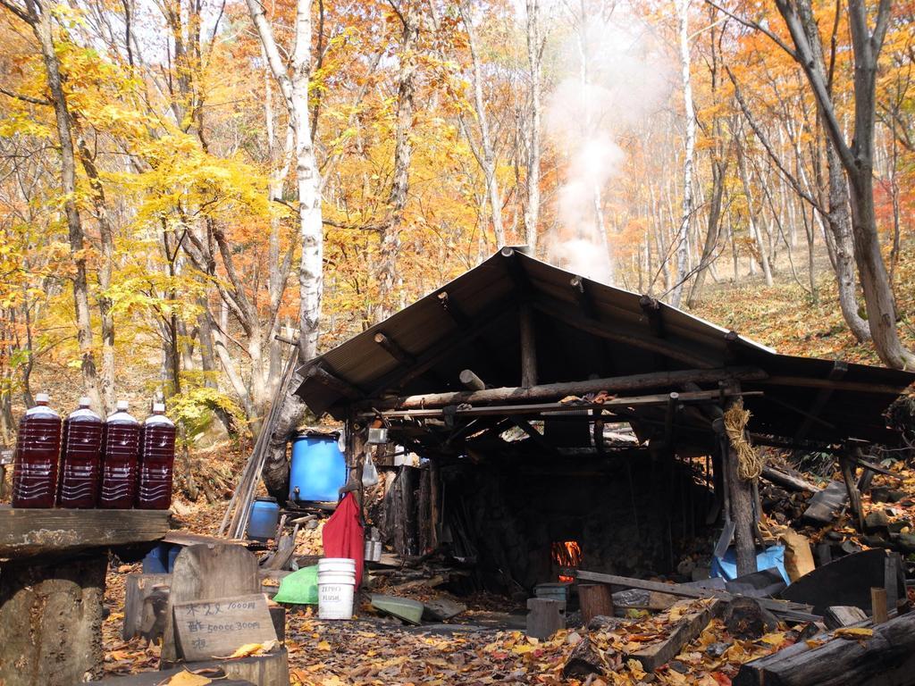 Yudanaka Onsen Yamazakiya Otel Yamanouchi  Dış mekan fotoğraf