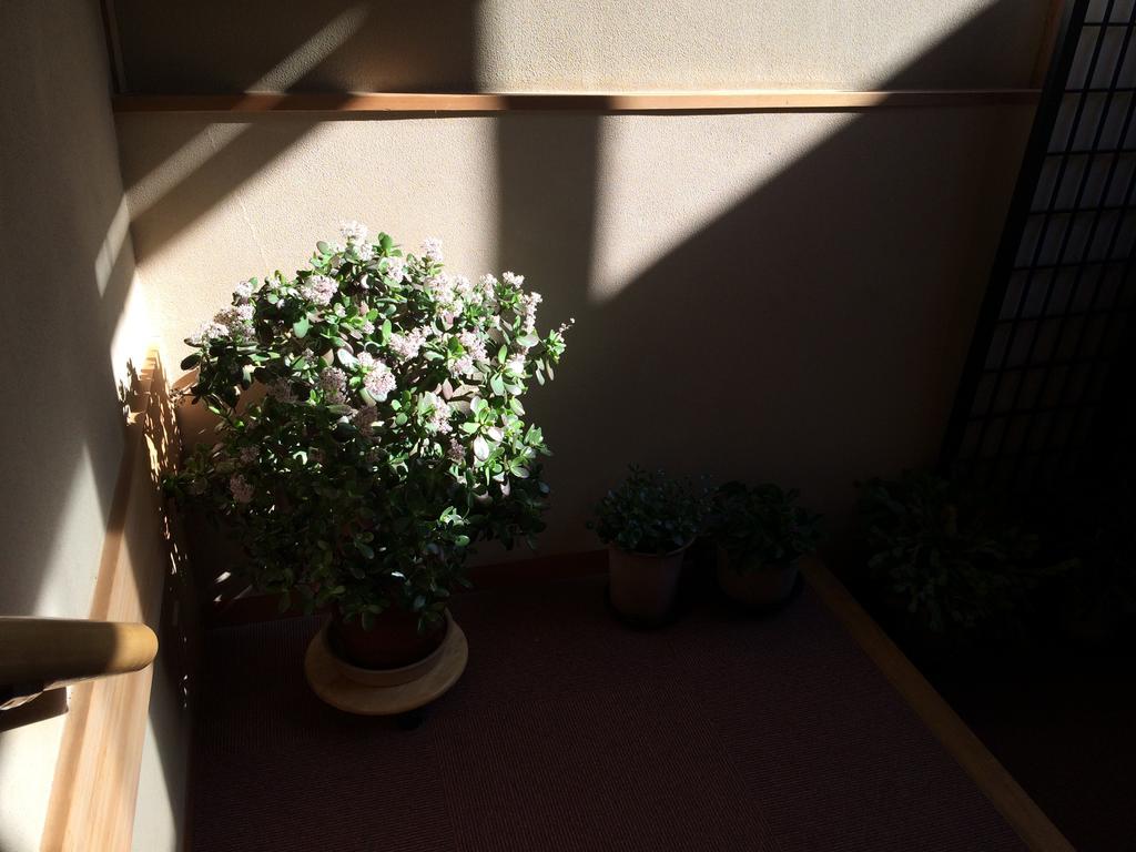 Yudanaka Onsen Yamazakiya Otel Yamanouchi  Dış mekan fotoğraf